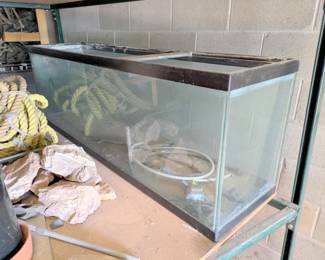 fish tank 