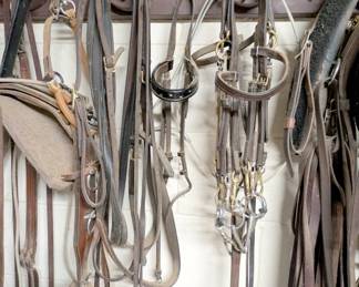 horse gear supply horse tack equine saddles ropes reigns bits etc 