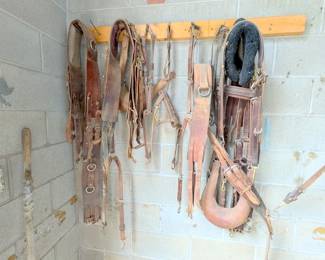 horse supply gear bits collar saddles reigns blankets 