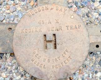 kodiak bear trap 