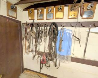 horse gear supply horse tack equine saddles ropes reigns bits etc 