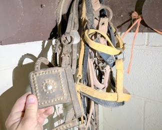 horse gear supply horse tack equine saddles ropes reigns bits etc 