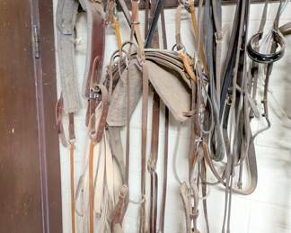 horse gear supply horse tack equine saddles ropes reigns bits etc 
