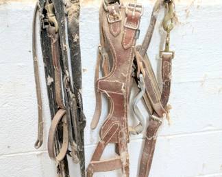 horse gear supply horse tack equine saddles ropes reigns bits etc 