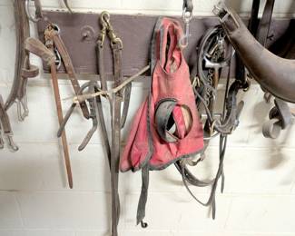 horse gear supply horse tack equine saddles ropes reigns bits etc 