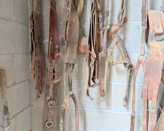bits harness horse supply 