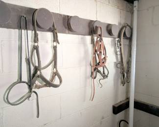 horse gear supply horse tack equine saddles ropes reigns bits etc 