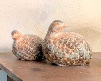 birds