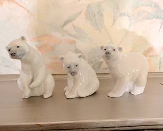 polar bears
