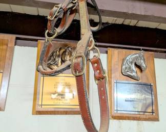 horse gear supply horse tack equine saddles ropes reigns bits etc 