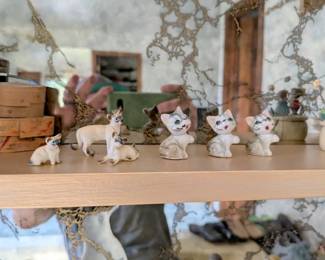 cats