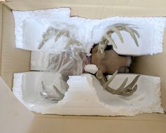 antler 