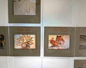tony kelly pictures