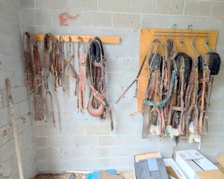 horse gear supply 