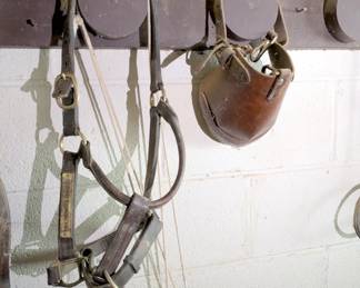 horse gear supply horse tack equine saddles ropes reigns bits etc 