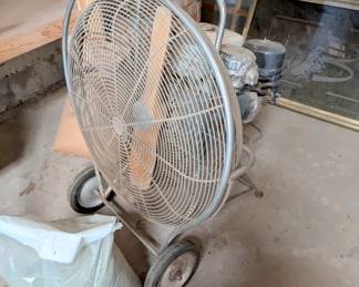 fan 