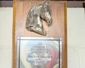 horse award