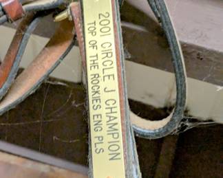 horse gear supply horse tack equine saddles ropes reigns bits etc 