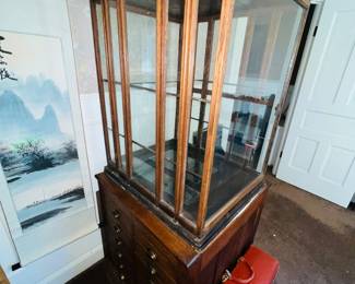Antique cane & umbrella display case apothecary