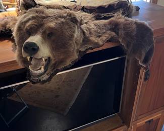 bear skin rug