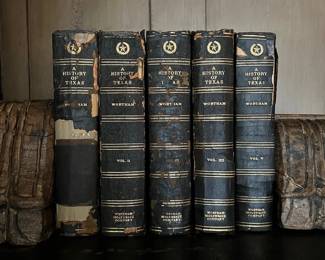 "A History of Texas" series