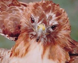 "Behold Mount Vintage" in North Augusta, SC Starts Closing Wed 7/3 at 8p. Pickup Fri 7/5 from 3-6p. Please click here to view more photos, descriptions, and current bids:&nbsp;https://ctbids.com/estate-sale/29544