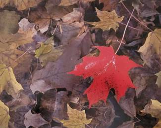 "Behold Mount Vintage" in North Augusta, SC Starts Closing Wed 7/3 at 8p. Pickup Fri 7/5 from 3-6p. Please click here to view more photos, descriptions, and current bids:&nbsp;https://ctbids.com/estate-sale/29544