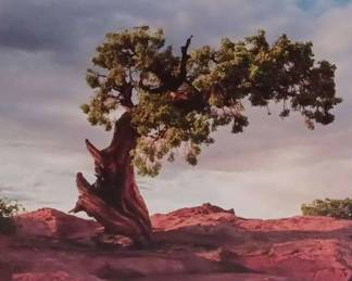 "Behold Mount Vintage" in North Augusta, SC Starts Closing Wed 7/3 at 8p. Pickup Fri 7/5 from 3-6p. Please click here to view more photos, descriptions, and current bids:&nbsp;https://ctbids.com/estate-sale/29544