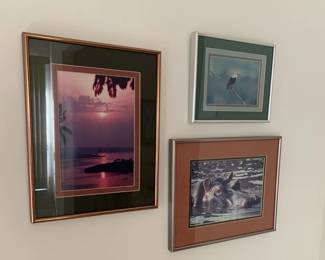 Framed Prints