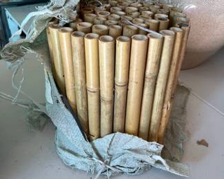 28Jul 06 2024 06 30pm7YMA