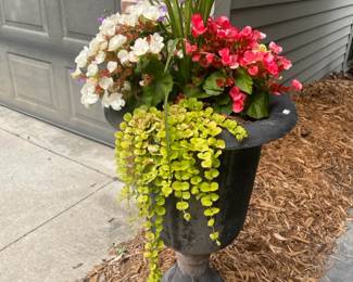 Various outdoor planters