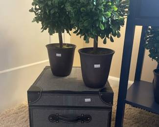 Storage box, Faux potted Pier 1 plants