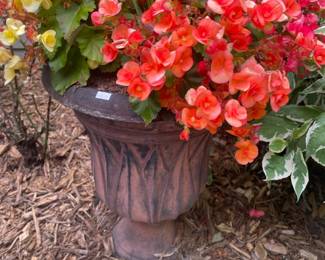 Various outdoor planters