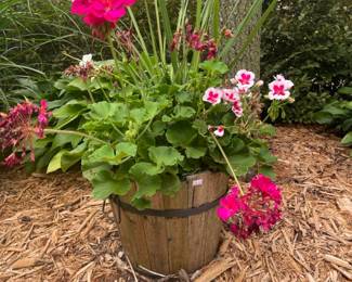 Various outdoor planters