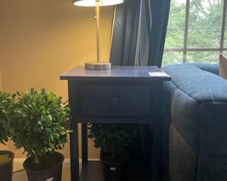 ,Blue one drawer side table, Table Lamp, Storage box, 	Faux potted Pier 1 plants