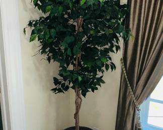 Faux ficus tree 