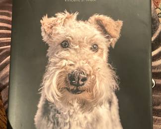 "The Year of the Dogs"