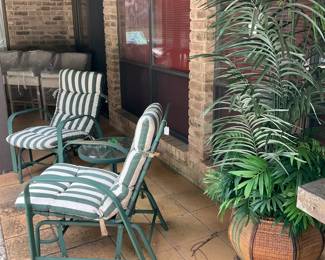 Patio chairs; large palm