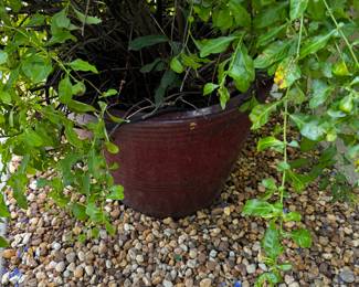 Six ceramic pots, four red two green