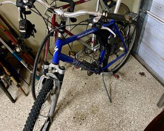 Specialized Rockhopper mountain bike, Schwinn 10 speed
