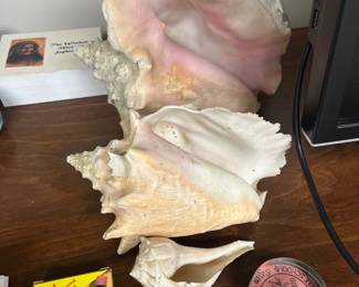 38Sep 04 2024 04 00pm3A9x