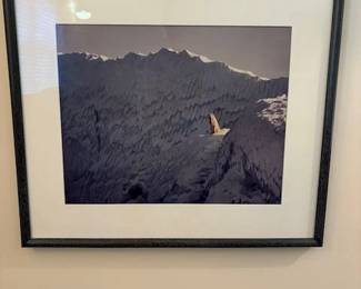 Framed photographic prints