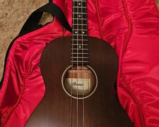 Ibanez Acoustic Electric Bass