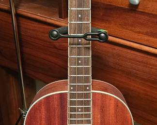 Ibanez Acoustic Electric Bass