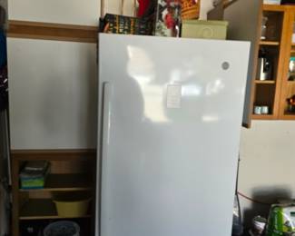 Stand up freezer 