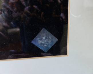 Yankees world series picture