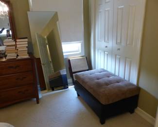 Mirror, ottoman and dog steps