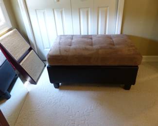 Mirror, ottoman and dog steps