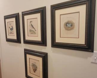 James Bolton Bird Etchings.