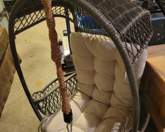 Hanging Egg Chair.